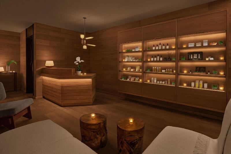 The Reykjavik EDITION-100