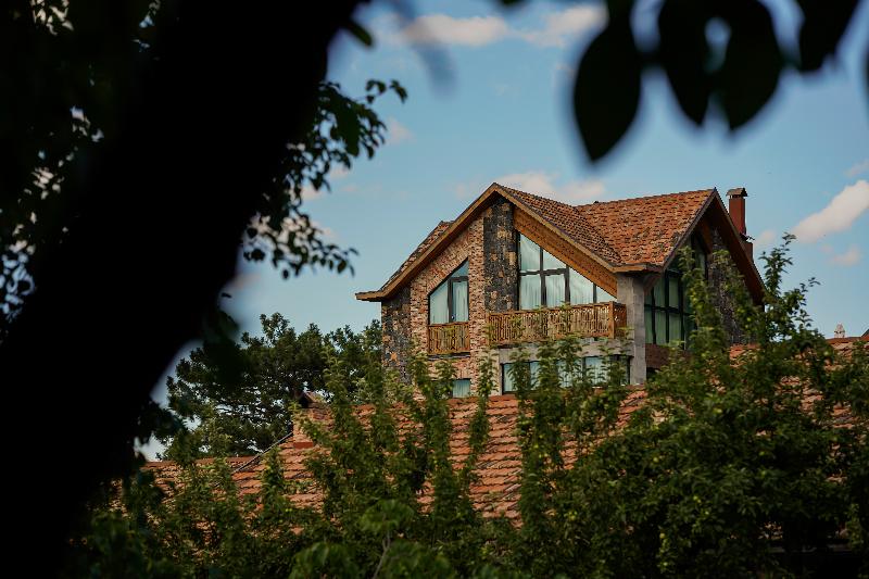 Dilijani Tun Hotel-0