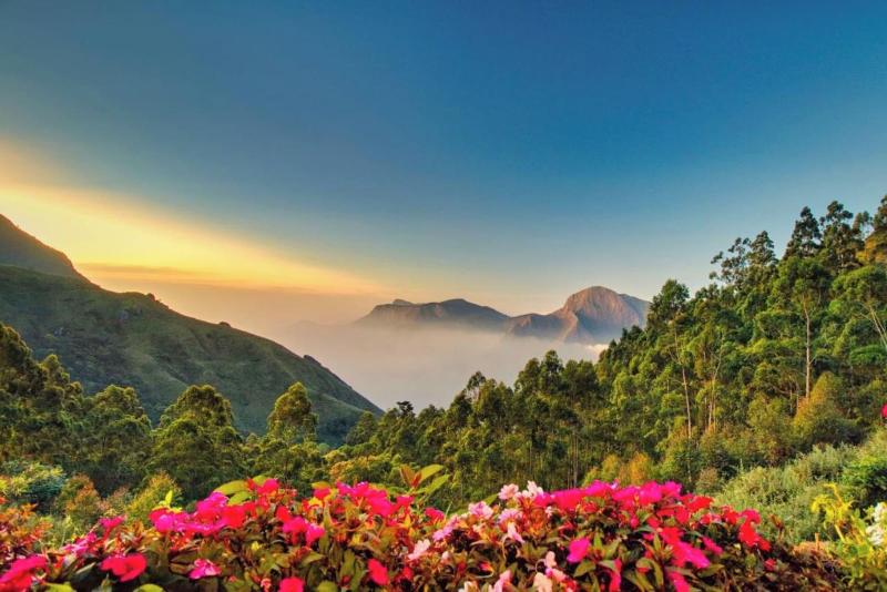 Chandys Drizzle Drops-3