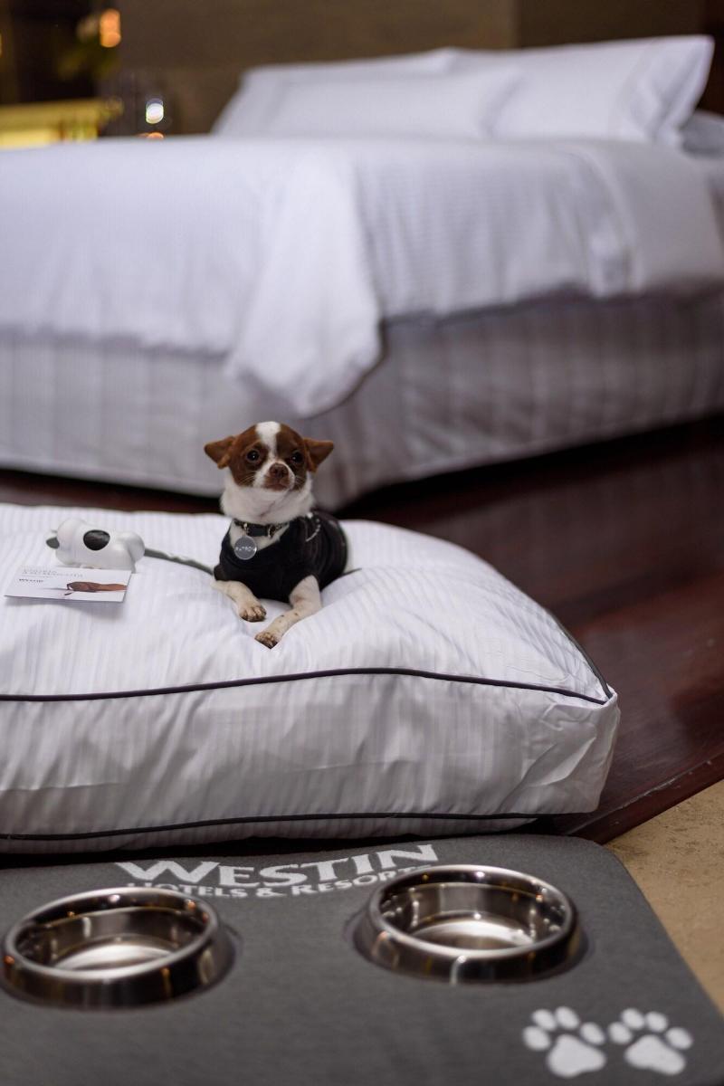 The Westin Lima Hotel & Convention Center-15