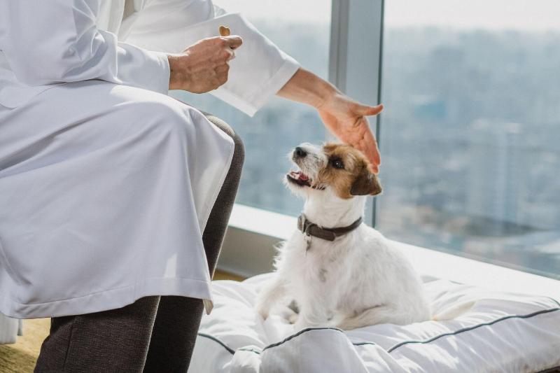 The Westin Lima Hotel & Convention Center-166