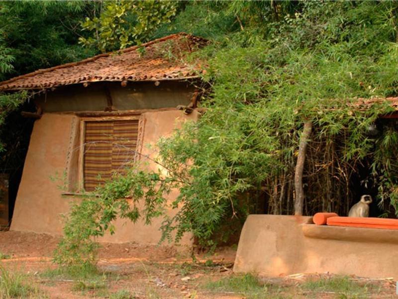 Mahua Kothi, A Taj Safari - Bandhavgarh National Park-1