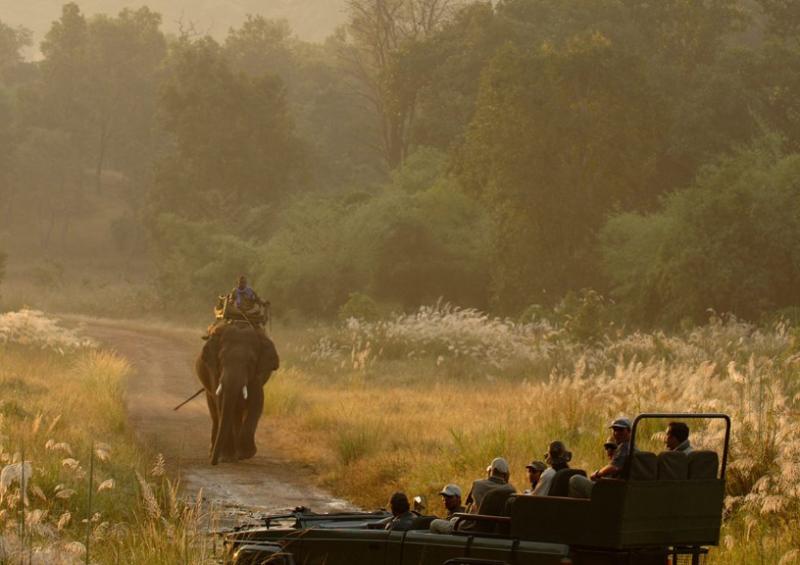 Mahua Kothi, A Taj Safari - Bandhavgarh National Park-6