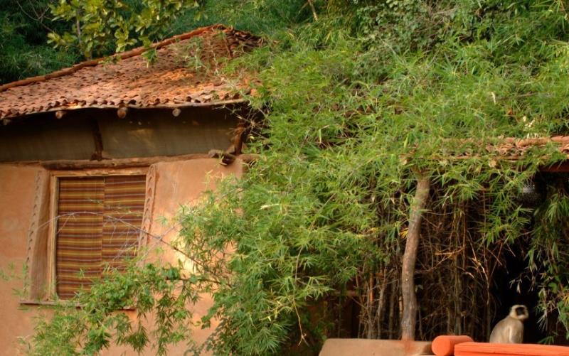 Mahua Kothi, A Taj Safari - Bandhavgarh National Park-10