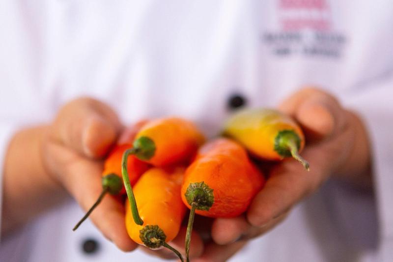 Home Palacio del Inka, a Luxury Collection Hotel, Cusco-3