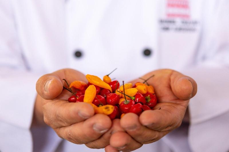 Home Palacio del Inka, a Luxury Collection Hotel, Cusco-78