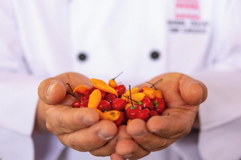 Home Palacio del Inka, a Luxury Collection Hotel, Cusco-180