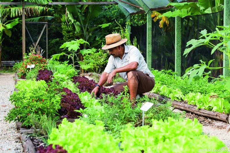 Awasi Santa Cantarina-6