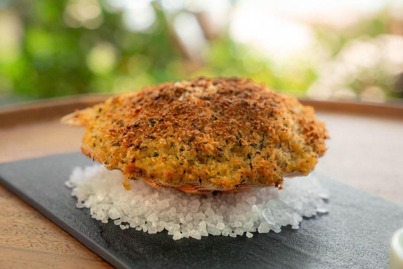 Awasi Santa Cantarina-81