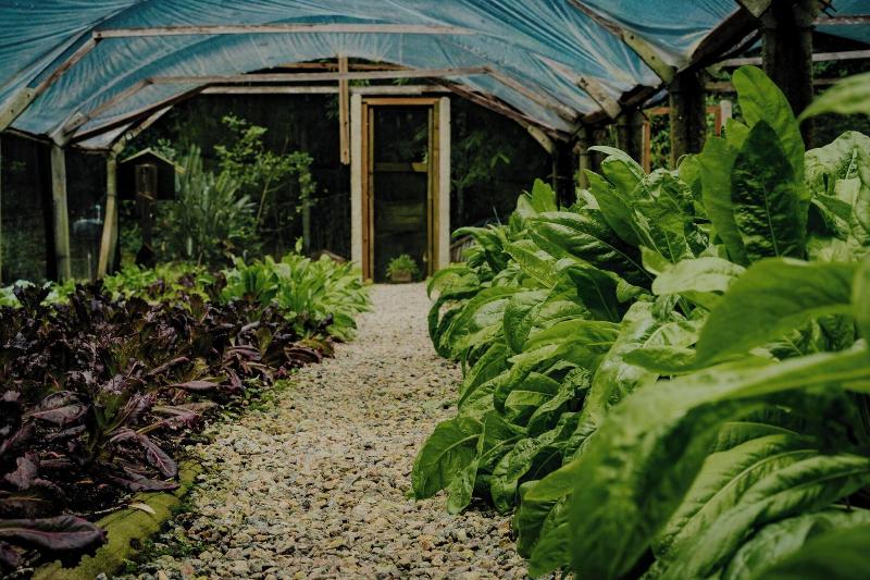 Awasi Santa Cantarina-83