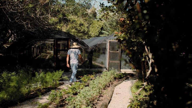 Awasi Santa Cantarina-107