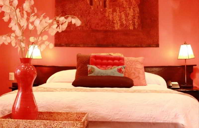 Casa Pedro Loza Petit Hotel-9