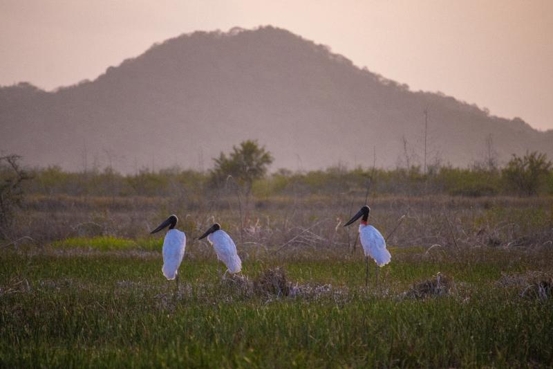 Rancho Humo Estancia-6