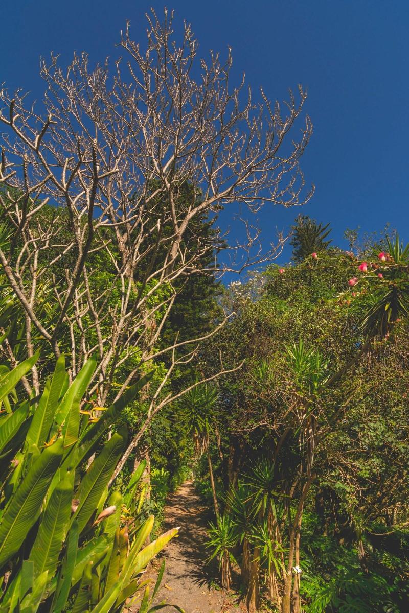 Finca Rosa Blanca Coffee Farm and Inn-13