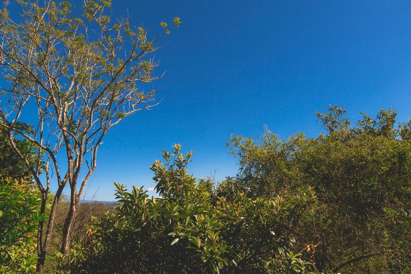 Finca Rosa Blanca Coffee Farm and Inn-14