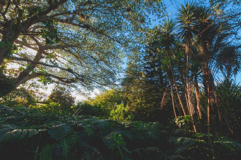 Finca Rosa Blanca Coffee Farm and Inn-15