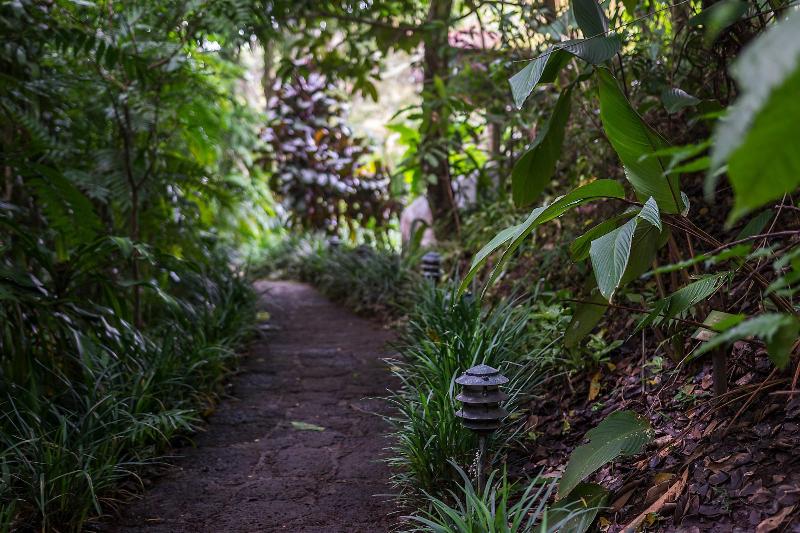 Finca Rosa Blanca Coffee Farm and Inn-2