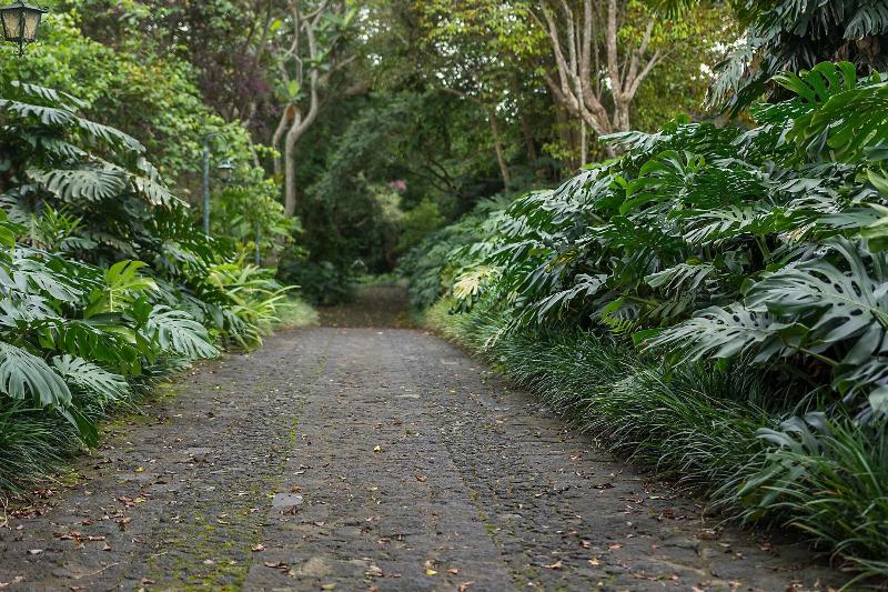 Finca Rosa Blanca Coffee Farm and Inn-3