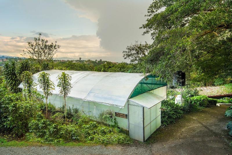 Finca Rosa Blanca Coffee Farm and Inn-4
