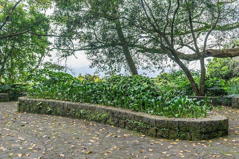 Finca Rosa Blanca Coffee Farm and Inn-5