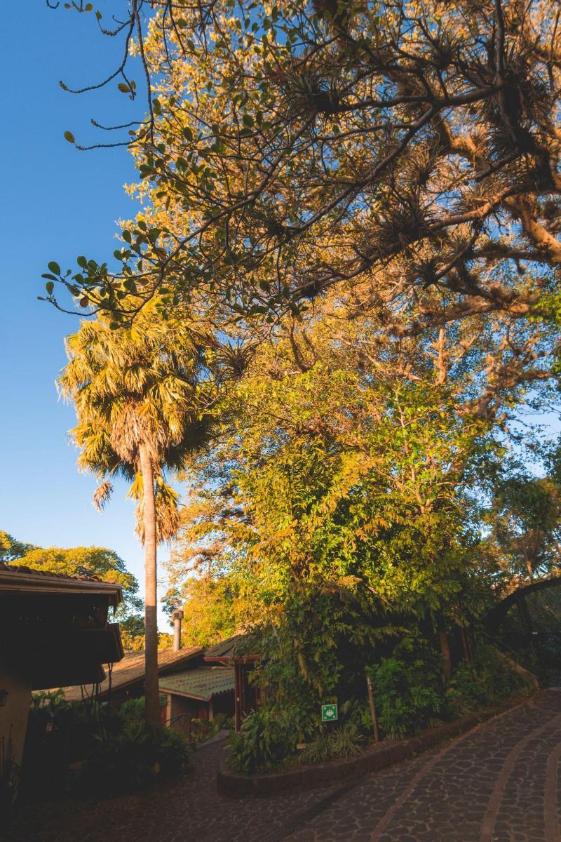 Finca Rosa Blanca Coffee Farm and Inn-127