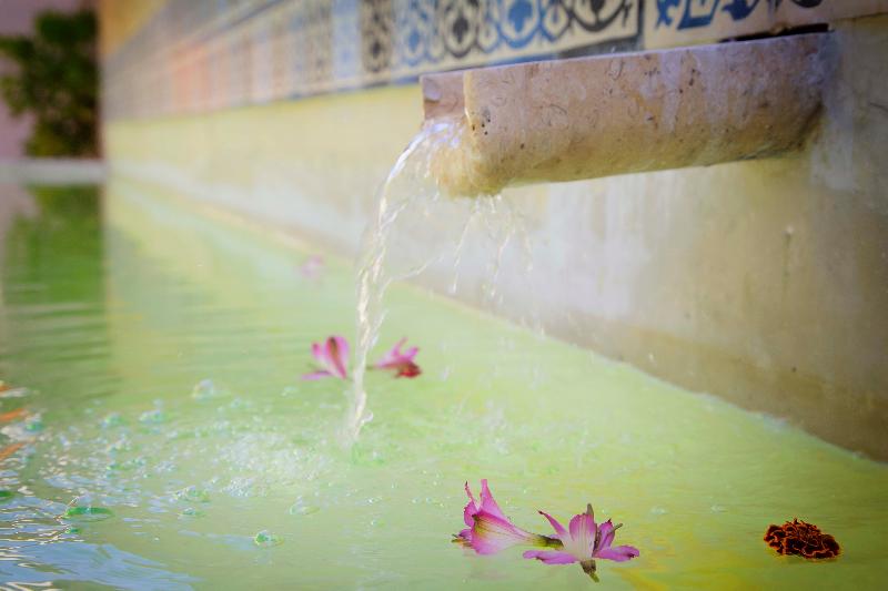 Ya'ax Hotel Boutique-1