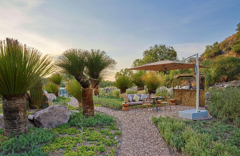 Live Aqua San Miguel de Allende-8