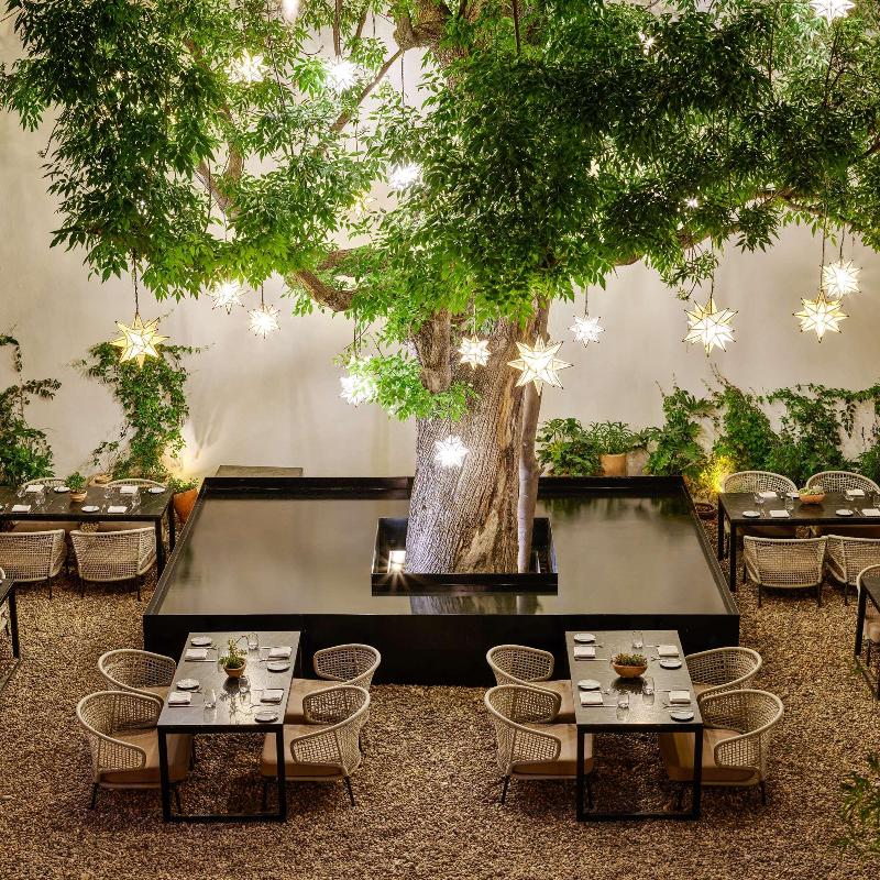 Live Aqua San Miguel de Allende-21