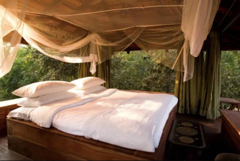 Taj Baghvan at Pench National Park-11