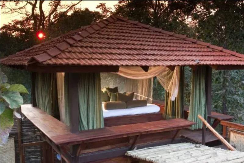 Taj Baghvan at Pench National Park-17