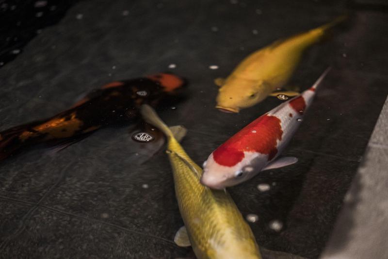 Homm Stay Nagi Shijo Kyoto-34