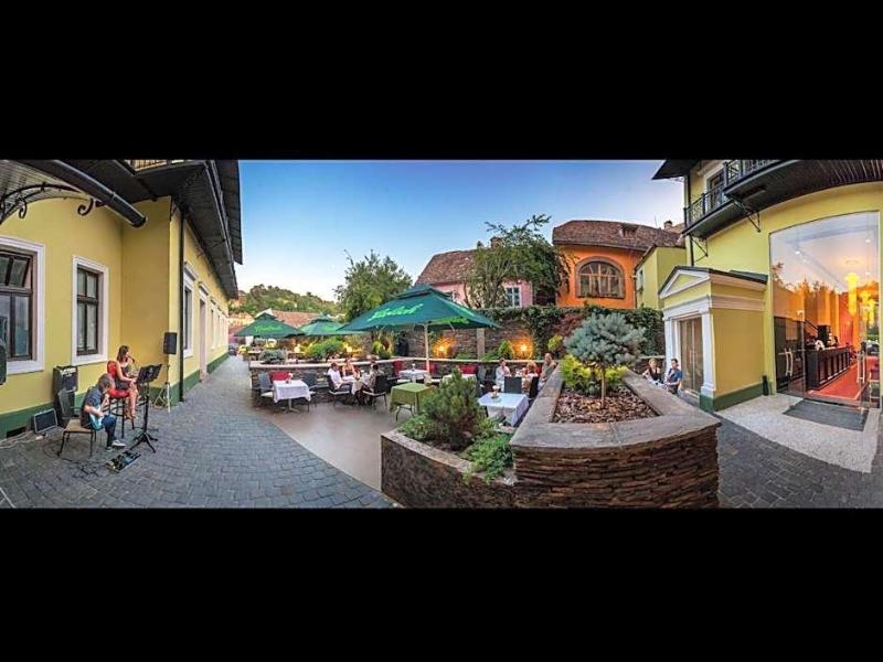 Hotel Central Park Sighisoara-6