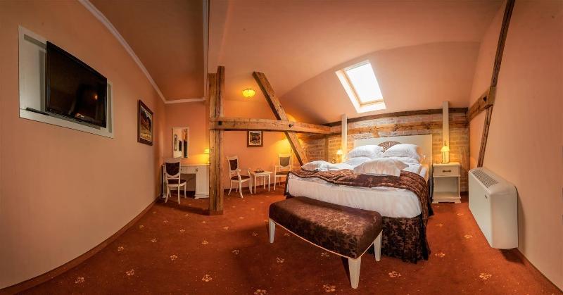 Hotel Central Park Sighisoara-18