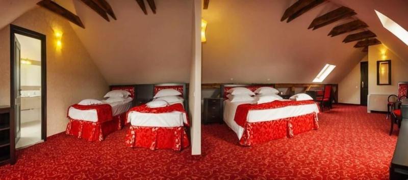 Hotel Central Park Sighisoara-27
