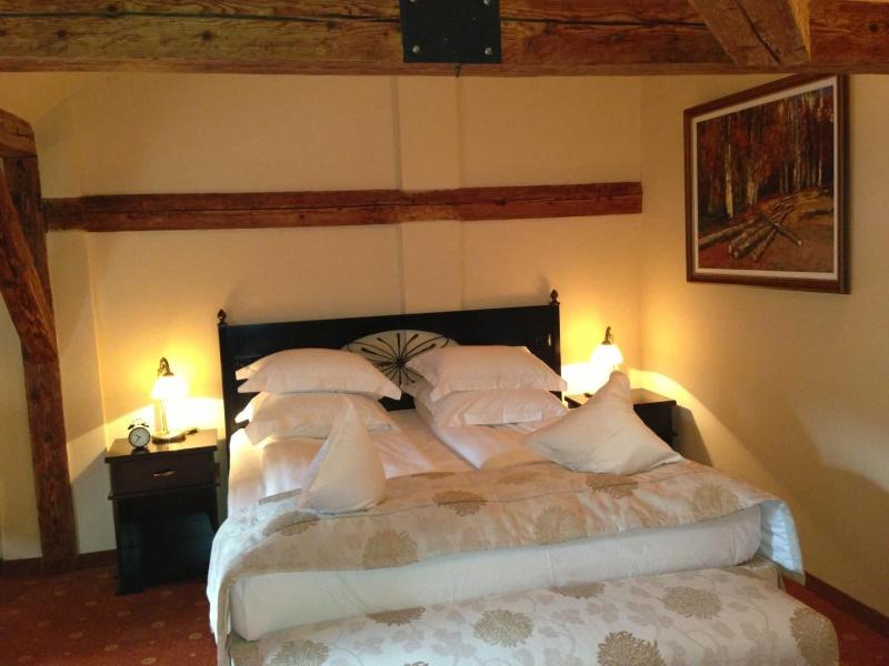 Hotel Central Park Sighisoara-42