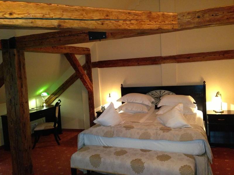 Hotel Central Park Sighisoara-46