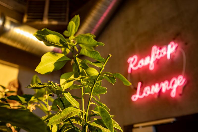 The Greenhouse Hotel-24