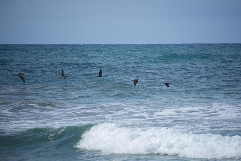 Hotel Nantipa - - A Tico Beach Experience-9