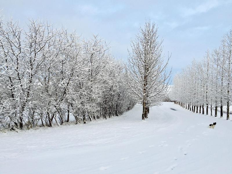 Hótel Eyjafjallajökull-23