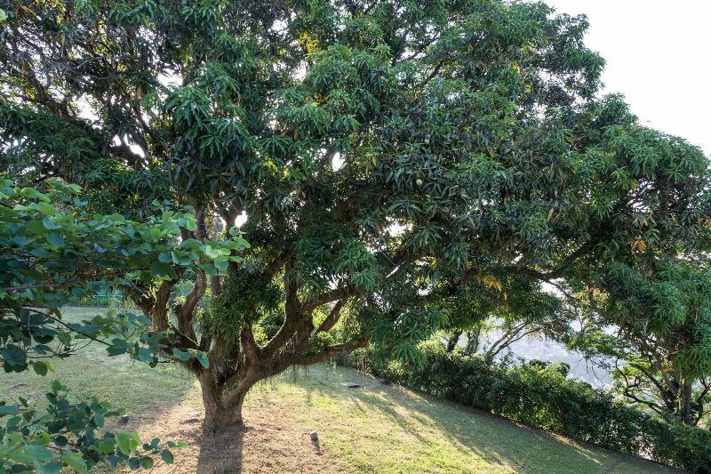 Vila Santa Teresa Hotel & Spa-1