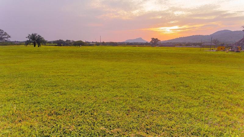 The Royal Senchi-164