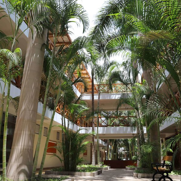 Casa Andina Standard Nasca - Patio