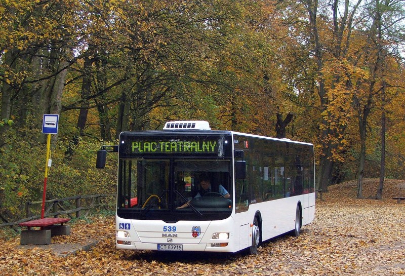 Bus in Toruń