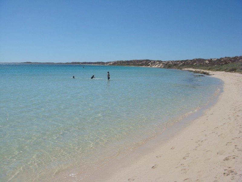 Coral Bay, ein Paradies an der Küste Westaustraliens, ist ein herrliches Dorf mit reicher Meeresfauna & -flora.