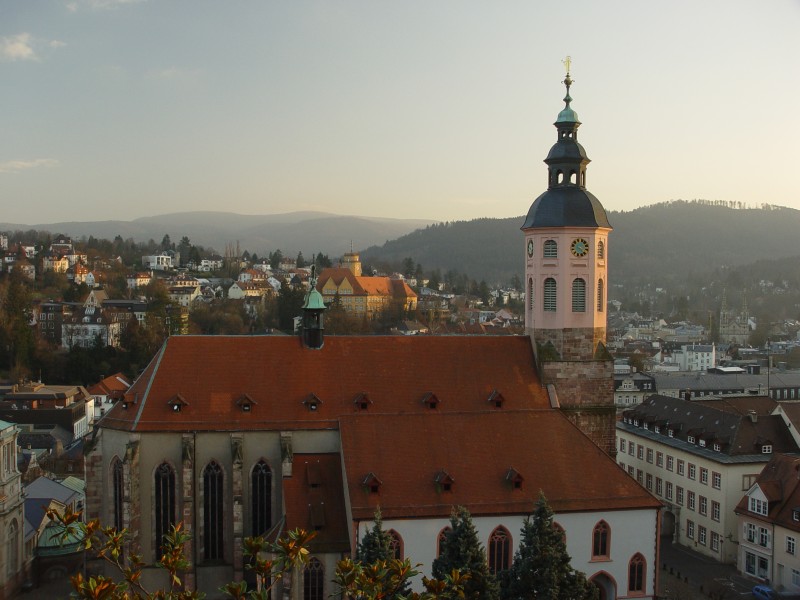City panorama, in the foreground the cathedral
