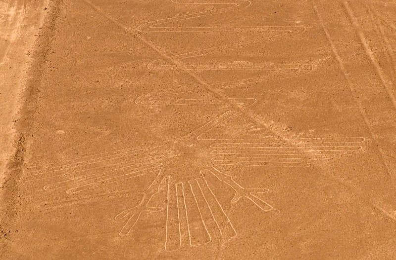 The Nazca lines: the heron