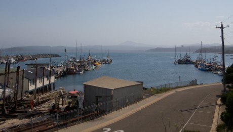Part of Eden's harbour