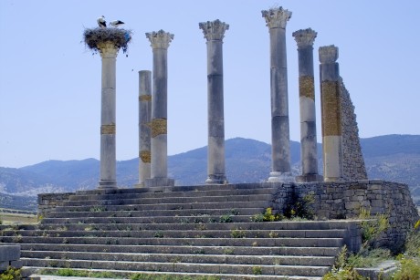 The ancient Roman site of '''Volubilis'''