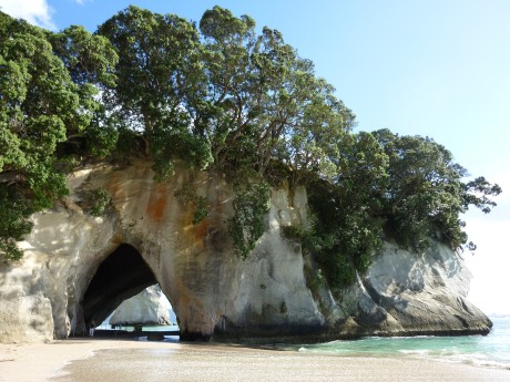 Cathedral Cove